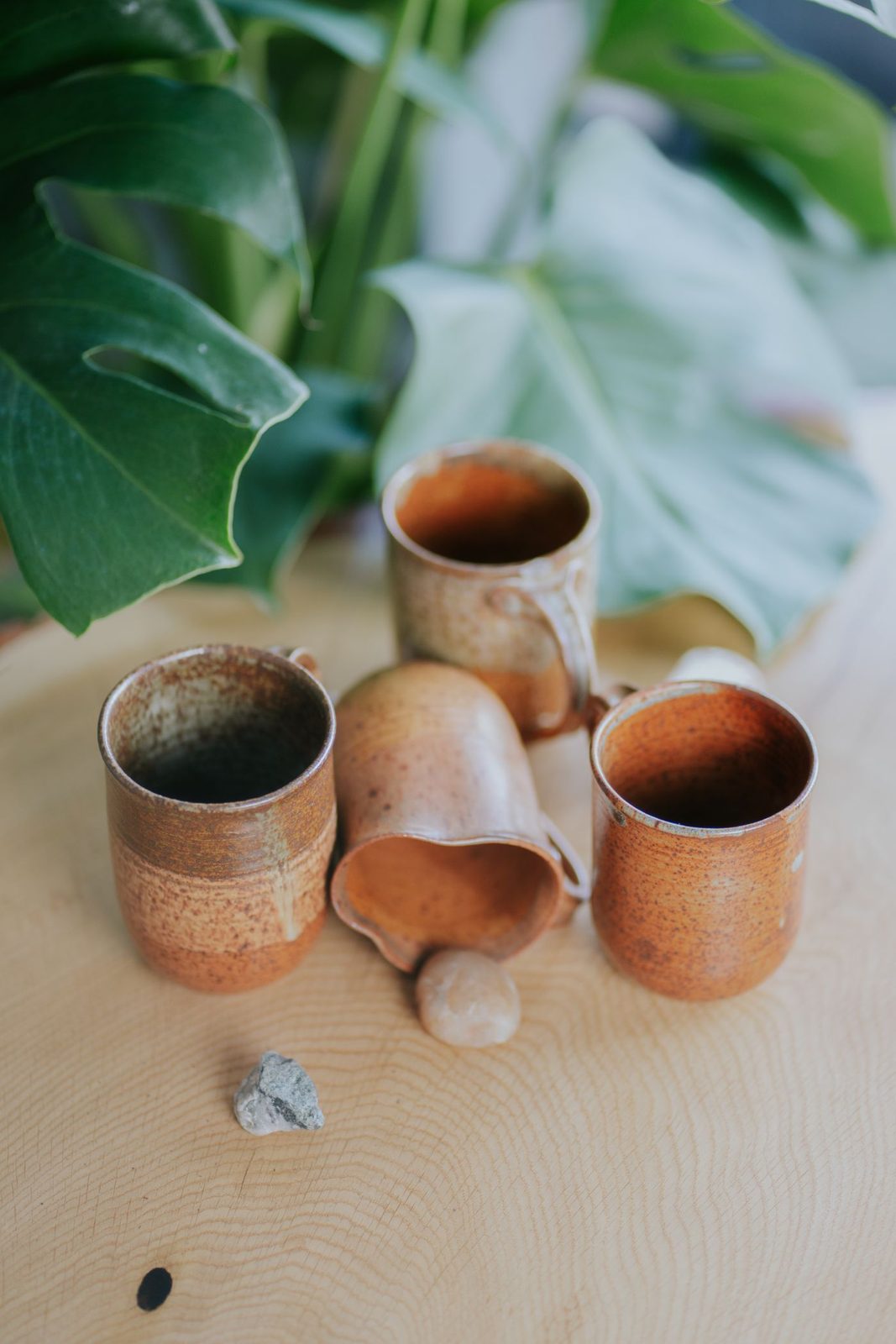 Terracotta Mugs